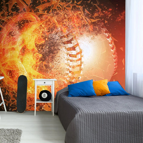 Teen Boys Room Wallcovering and Murals