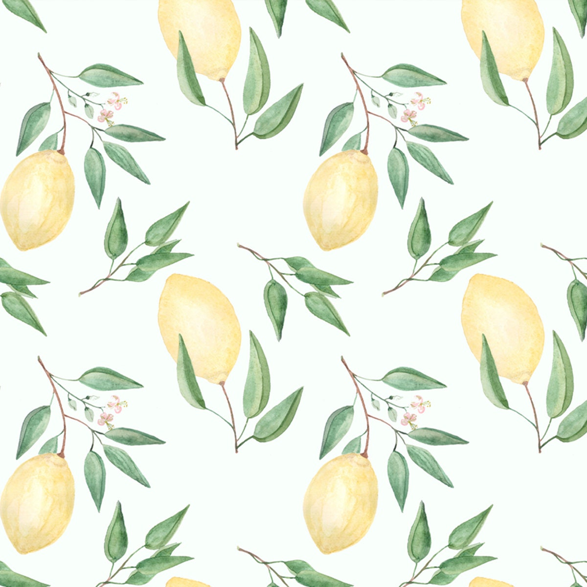 Colorful Fruit Watercolor. Lemons, Twigs on White Background Wallpaper Kitchen Mural