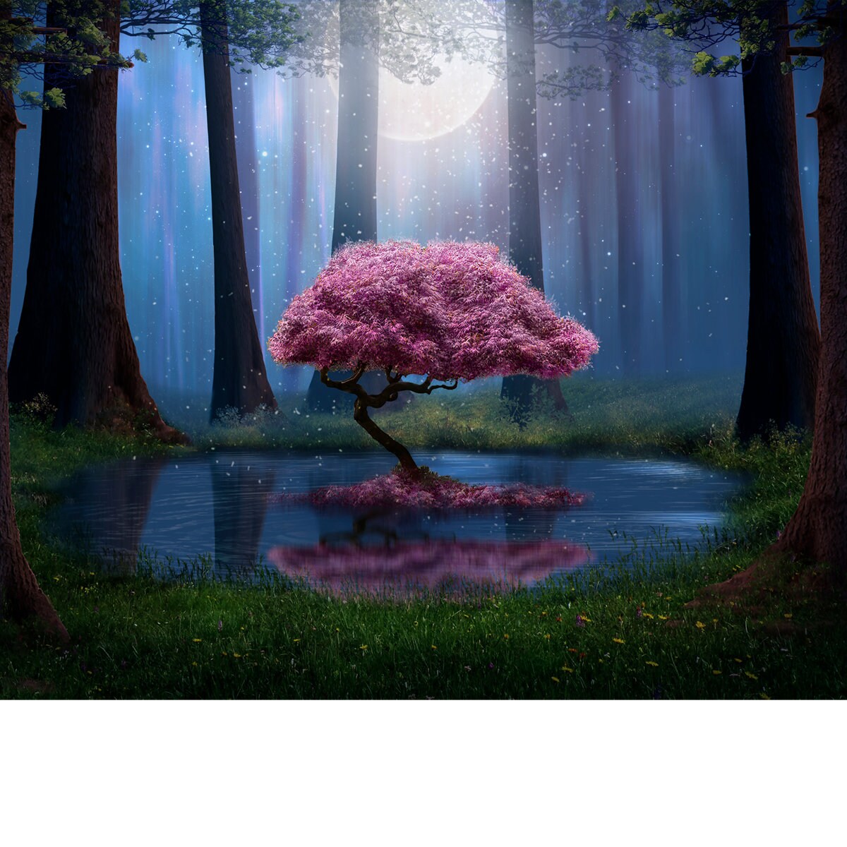 Pink Tree and Pond in the Forest at Night Wallpaper Girl Bedroom Mural