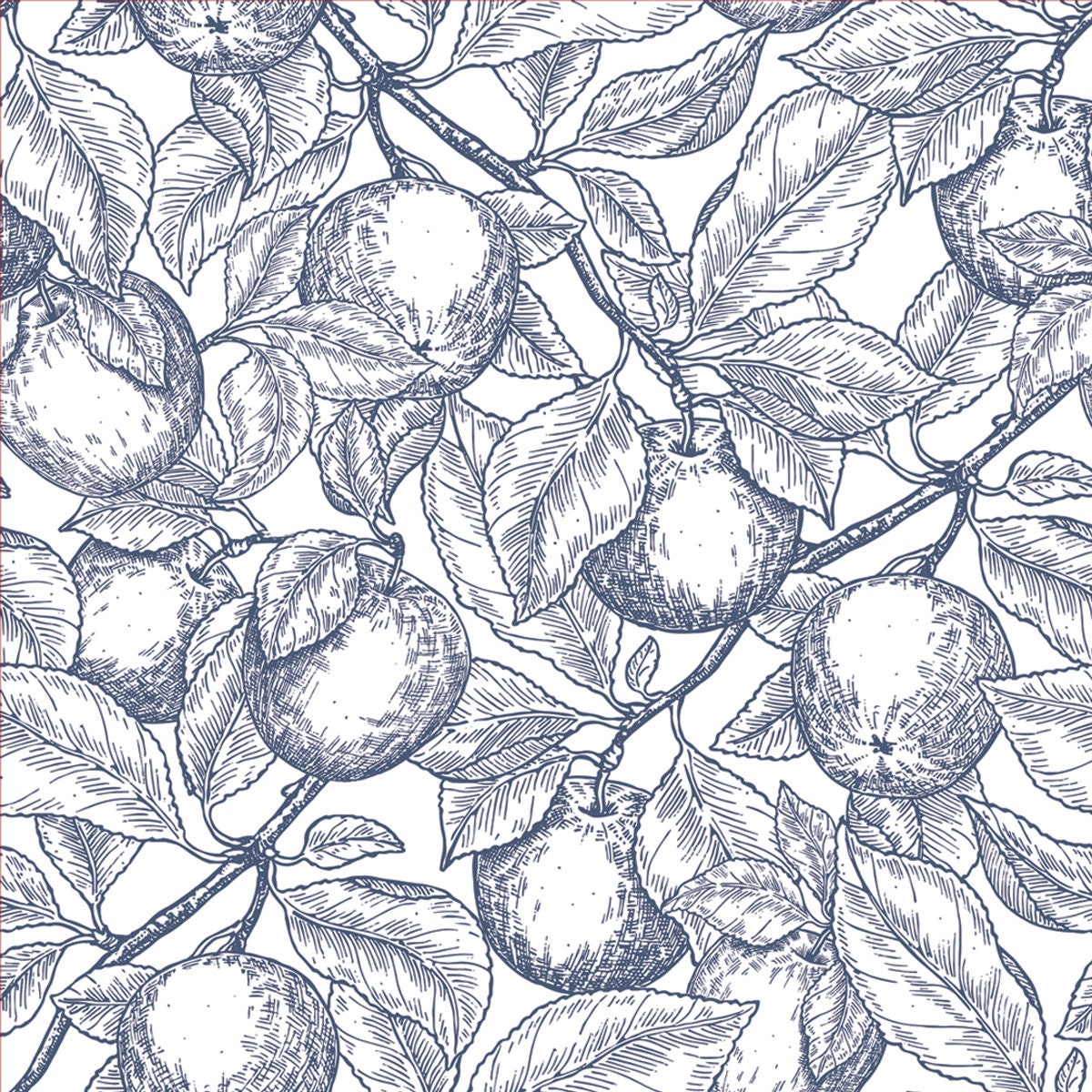 Apple Tree Seamless Pattern. Apple Leaf Engraved Background Wallpaper Kitchen Mural