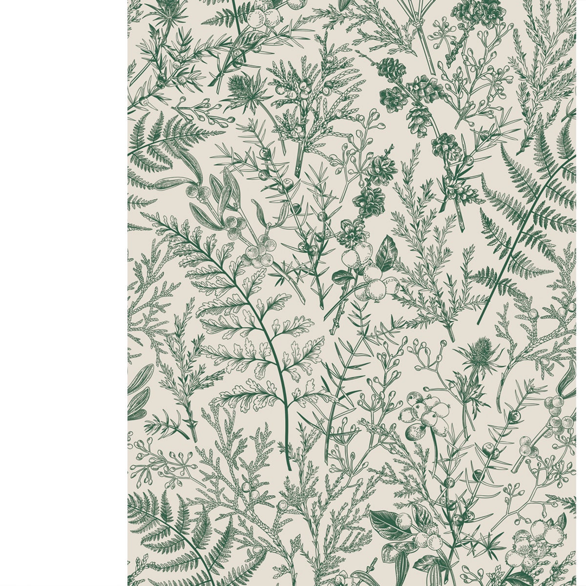Botanical Seamless Hand-Drawn Pattern with Coniferous Branches, Plants and Berries Wallpaper Bedroom Mural